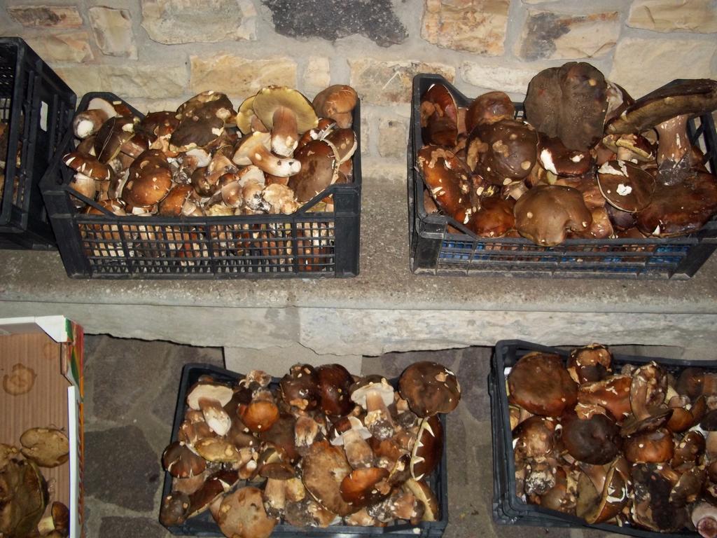 B&B Sa Muredda Sardara Zewnętrze zdjęcie